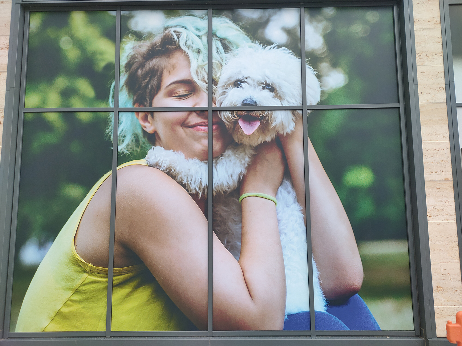 Retail shop window graphics – Dog cuddles Pets At Home window Retail shop window graphics – Dog cuddles Pets At Home window